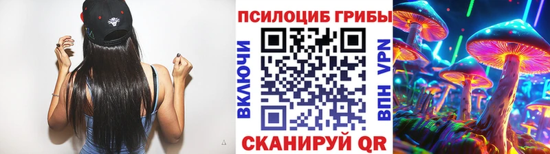 Псилоцибиновые грибы мухоморы Володарск